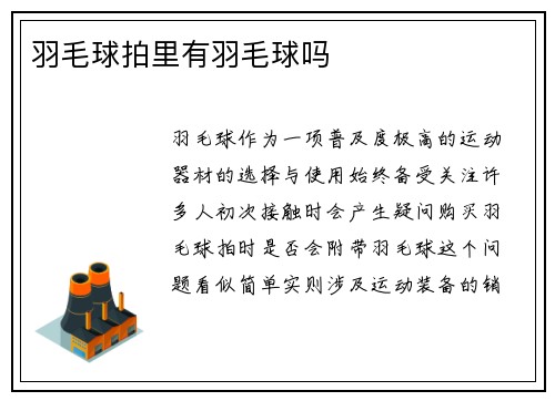羽毛球拍里有羽毛球吗